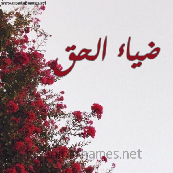 شكل 18 صوره الورد الأحمر للإسم بخط رقعة صورة اسم ضياء الحق DYAELHAK